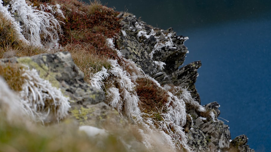 Das Buch Offenbar aus der Bibel: Zusammenfassung 1 abcdhe 5