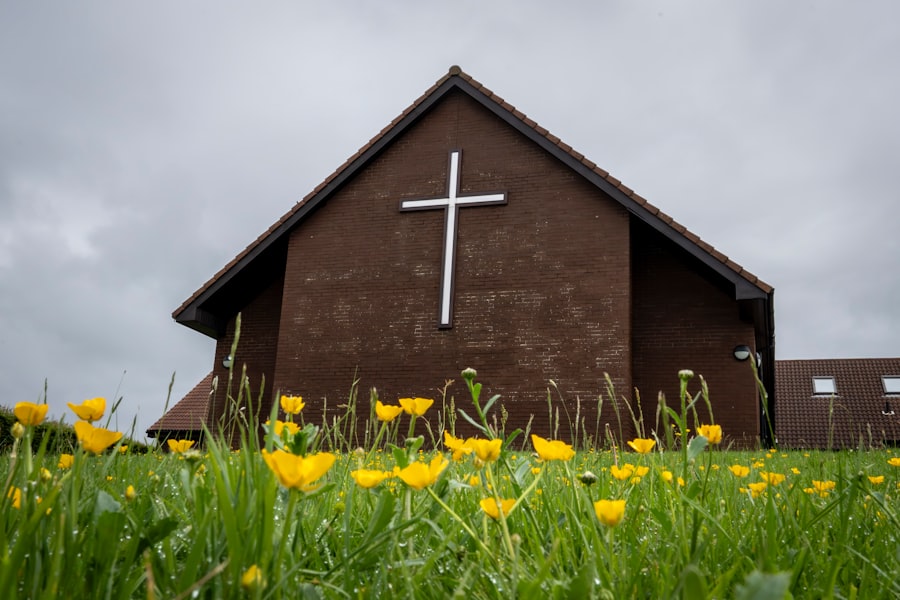 image 15